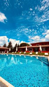 a large swimming pool with chairs and umbrellas at Agriturismo Borgo Imperiale in Valmontone