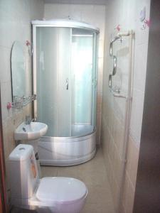 a bathroom with a shower and a toilet and a sink at B&B Aktau НЕ ОТЕЛЬ in Aktau