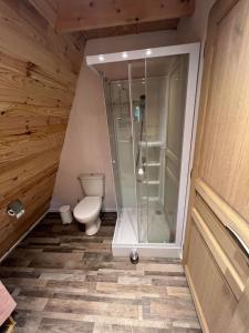 a bathroom with a shower and a toilet at La maison en A in Meix-devant-Virton
