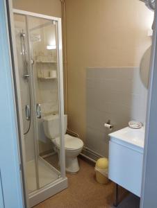 a bathroom with a toilet and a shower and a sink at Le Nid - Studios in Chartres