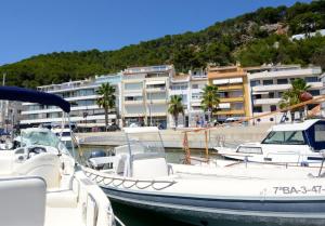 een groep boten aangemeerd in een jachthaven met gebouwen bij Escorpora in L'Estartit