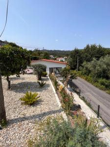 une route bordée d'arbres et de plantes dans l'établissement Casa dos Doces, à Póvoa de Lanhoso