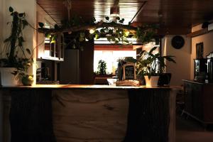 a kitchen with a counter with plants on it at Hotel Tourist in Meiringen