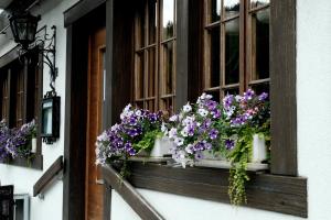 uma janela com flores roxas e brancas em Hotel Tourist em Meiringen