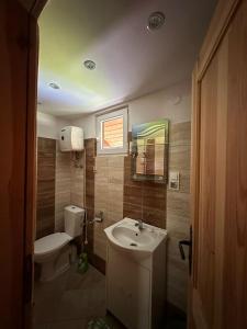 a small bathroom with a sink and a toilet at Nad Głuchym Potokiem in Rosochate