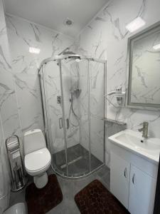 ein Bad mit einer Dusche, einem WC und einem Waschbecken in der Unterkunft Forsage Hotel in Uschhorod