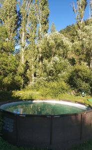 una pequeña piscina de agua en un campo con árboles en La María de Tortas en Paterna del Madera