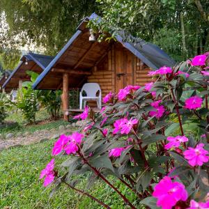 Zahrada ubytování Camping lagos de venecia