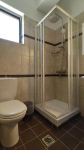 Villa Gianna في Apolpaina: حمام مع دش ومرحاض