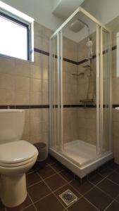 a bathroom with a shower and a toilet at Villa Gianna in Apolpaina