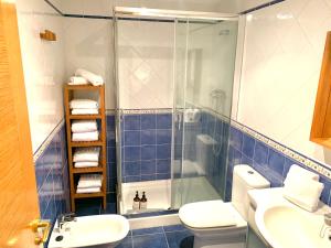 a bathroom with a shower and a toilet and a sink at Apto La Manzanina con Parking in Villaviciosa