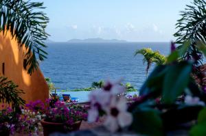 a view of the ocean from a garden with flowers at Cala Margarita Hotel in Paraguachi