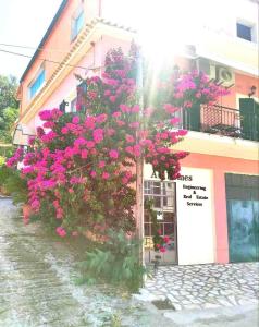 drzewo z różowymi kwiatami przed budynkiem w obiekcie Voukamvilia Boutique Apartment w mieście Ágios Matthaíos