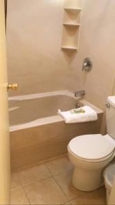 a bathroom with a toilet and a bath tub at CASA CAMPESTRE SANTERRA in Tacna