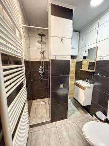 łazienka z toaletą i umywalką w obiekcie Charbonnel 1 B Charleroi-airport w Charleroi