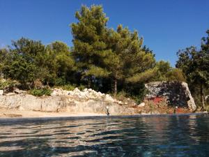 Táj Show holiday homes közelében