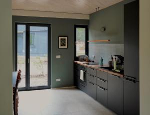 a kitchen with green walls and a counter top at Elf am See - Haus 7 in Templin