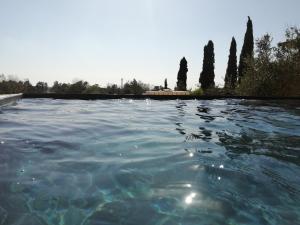 The swimming pool at or close to Masseria Bianca