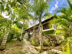 a house in the middle of a forest with palm trees at AQUA CEIBA Hotel Spa Aventuras y Eventos in Jalcomulco