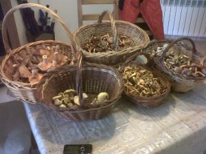 cuatro cestas llenas de setas en una mesa en La Llar de Peramola, en Peramola