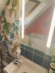 uma casa de banho com um lavatório e um espelho em Au coeur des Remparts em Boulogne-sur-Mer