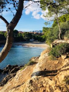 Příroda nedaleko apartmánu