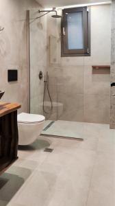 a bathroom with a glass shower and a toilet at MiLiON RESIDENCES in Parga