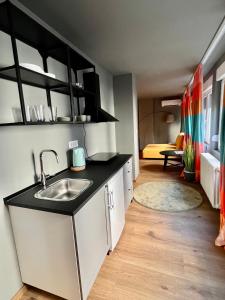 eine Küche mit einem Waschbecken und ein Wohnzimmer in der Unterkunft Tulum Apart Center Belgrade in Belgrad
