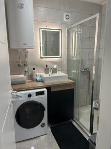 a bathroom with a sink and a washing machine at Loft Luxury Apartment in Pirot