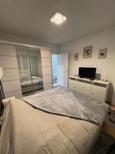 1 dormitorio con 1 cama grande y TV en Loft Luxury Apartment en Pirot