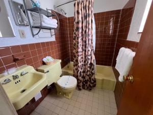 Koupelna v ubytování Caribbean Motel