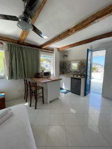 Η κουζίνα ή μικρή κουζίνα στο Marbnb Appartamenti Ponza Centro porto Casa Luisa