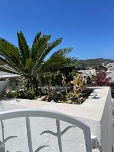 Μπαλκόνι ή βεράντα στο Marbnb Appartamenti Ponza Centro porto Casa Luisa