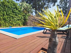 a palm tree sitting on a deck next to a swimming pool at CASA RURAL CON PISCINA PRIVADA El ROBLE in Moya