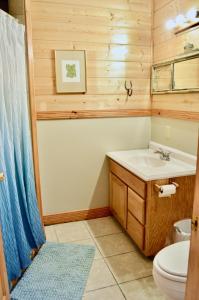 La salle de bains est pourvue d'un lavabo et de toilettes. dans l'établissement Hodge Podge Lodge, à Alpine