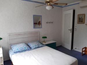 1 dormitorio con 1 cama y ventilador de techo en Le petit chemin, en Bougival
