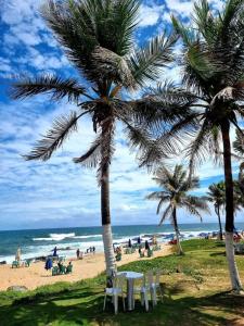 een tafel en stoelen op een strand met palmbomen bij Kitnets Itapuã Residência - 1 Minuto de Caminhada Ate a Praia in Salvador
