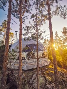 a tent in the woods with trees at Hidden Island Laukanharju Glamping in Savonlinna