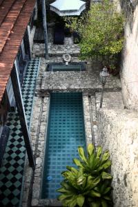 une piscine d'eau au milieu d'un jardin dans l'établissement Coqui Coqui Casa de los Santos Izamal - THE ONLY ONE SUITE COLLECTION, à Izamal