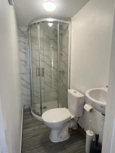 a bathroom with a shower and a toilet and a sink at Beautiful house/Parking in Plumstead