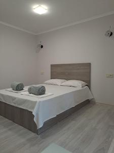 1 dormitorio blanco con 1 cama grande y 2 almohadas en Nanayi guest house, en Gyumri