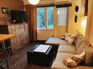 a living room with a couch and a tv at Wanha Koulu Tahko 2h Huone, Sauna, Minikeittiö, Rinteet Spa Ravintola 6km, Sali, Wifi, Lemmikit OK, Edukas in Reittiö