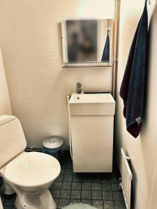 ein Badezimmer mit einem WC, einem Waschbecken und einem Spiegel in der Unterkunft Small Apartment, Tahko, Sauna, Shower, WiFI, PetsOK, Budget, Wanha koulu Tahkovuori in Reittiö
