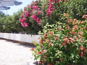 a bush of pink flowers in a garden at Villas Michalis in Chorafakia