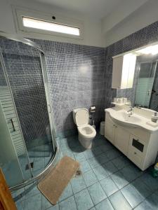 a bathroom with a shower and a toilet and a sink at Villas Nies in Soúrpi