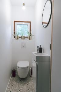 a bathroom with a toilet and a sink and a mirror at Imagine Tiny House 325 op Camping GT te Balen in Balen