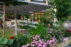 Zahrada ubytování Breezy Hotel