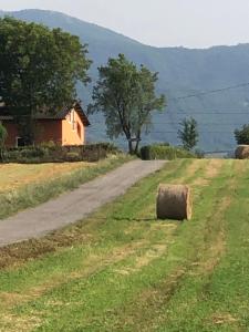 une balle de foin assise sur le côté d'une route dans l'établissement Dreams Valley, à Valmontone