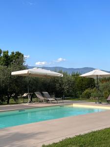 a swimming pool with two chairs and umbrellas at All'Ombra Del Tiglio in Pistoia