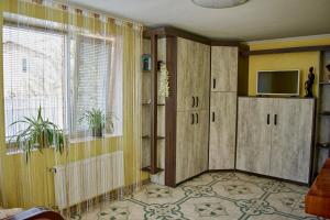 a living room with a tv and a window at Vacation home Lubov in Kamianets-Podilskyi